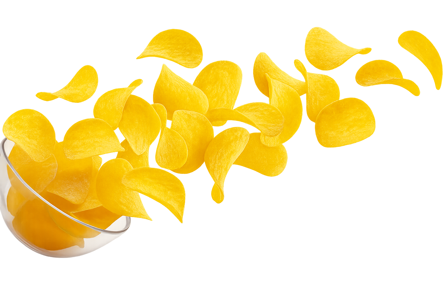 Vector